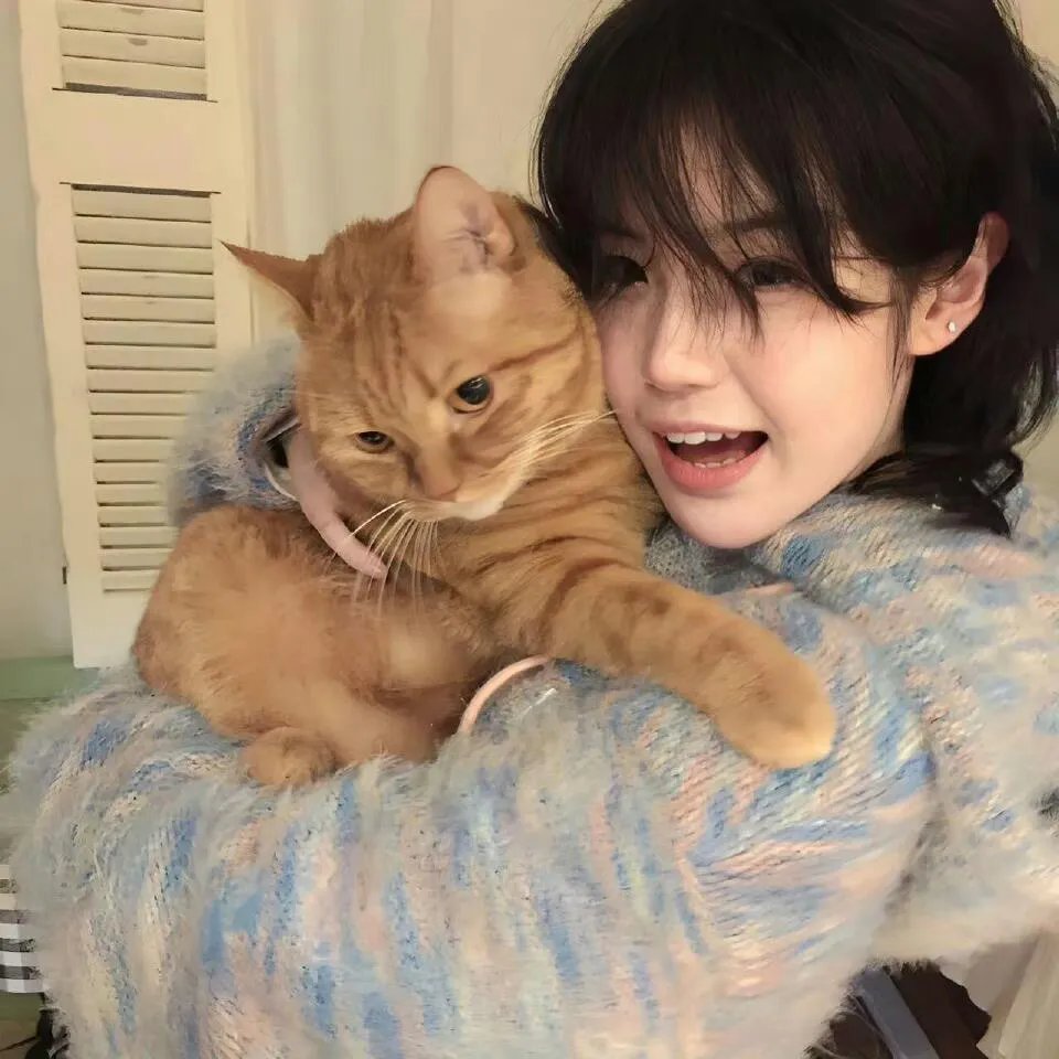 美国诉比莉·哈乐黛